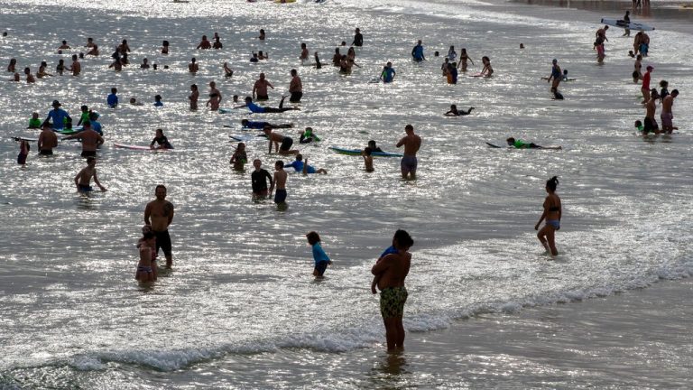 ‘Severe’ heatwave sweeps Sydney as it records hottest November night