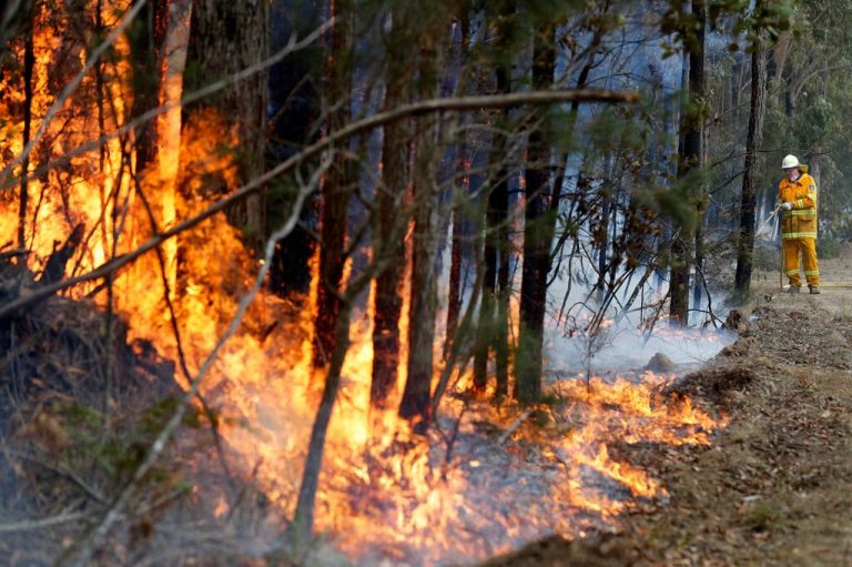 Australia issues fire ban as soaring temperatures smash records