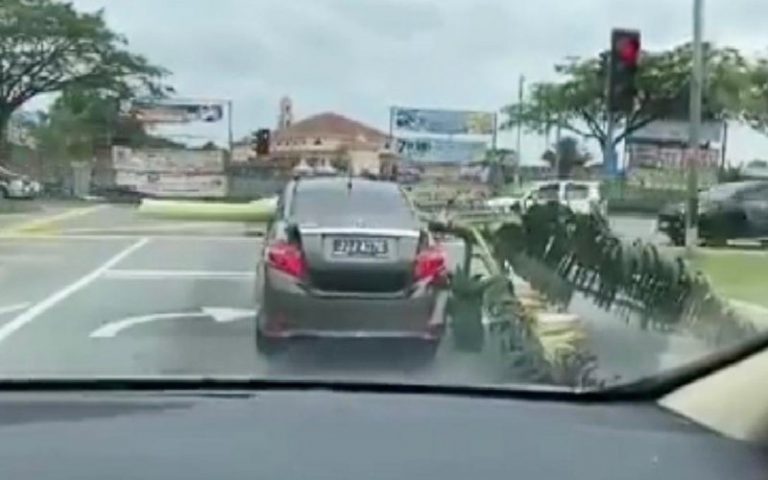 Driver slapped with summons for carrying banana tree in car