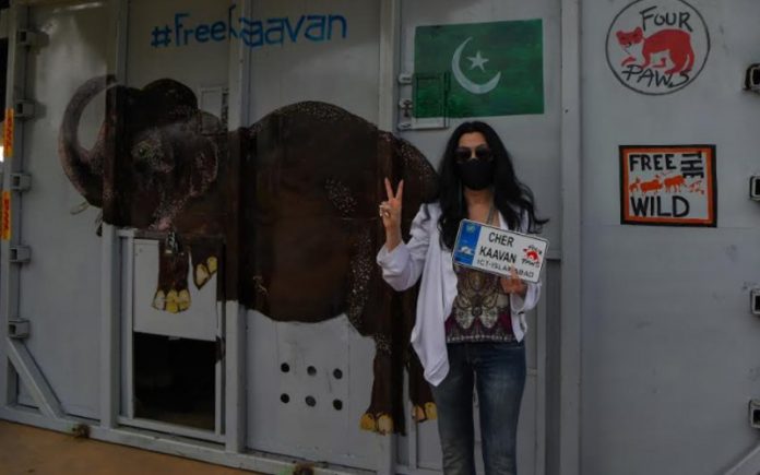 Cher greets world’s loneliest elephant in Cambodia