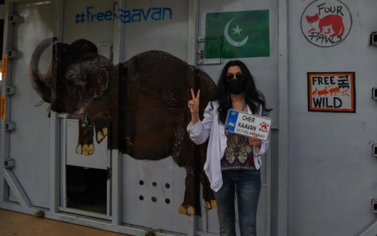 Cher greets world’s loneliest elephant in Cambodia