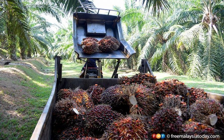 Why is TH Plantations going ahead with asset sale, asks Najib