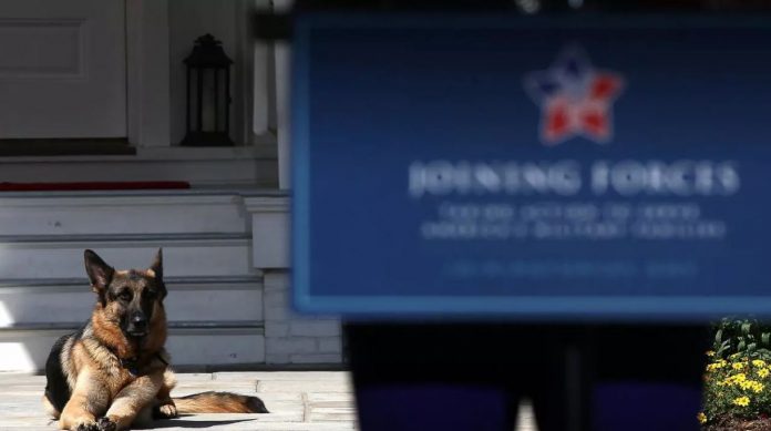 Biden fractures foot playing with dog