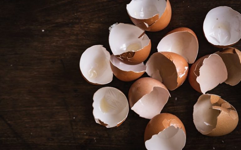 Kulit telur, jangan dibuang
