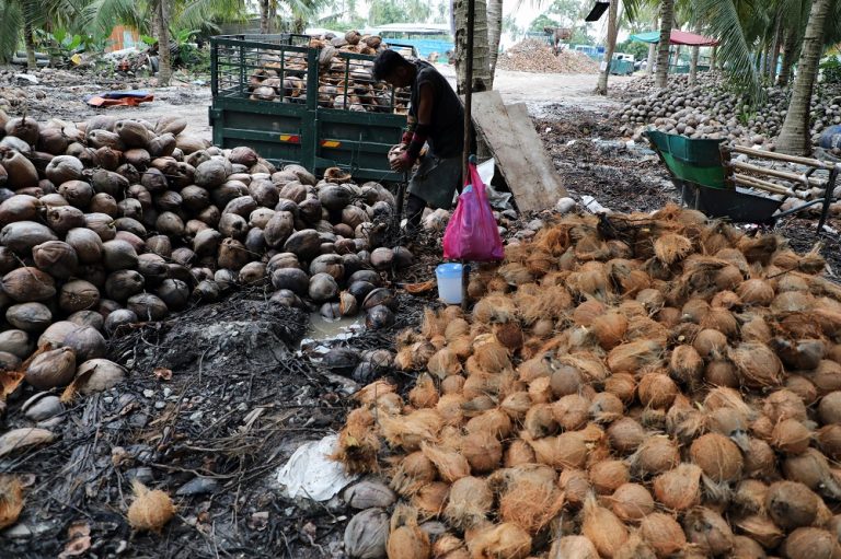 Malaysia palm oil workers discouraged from going home, say rights groups