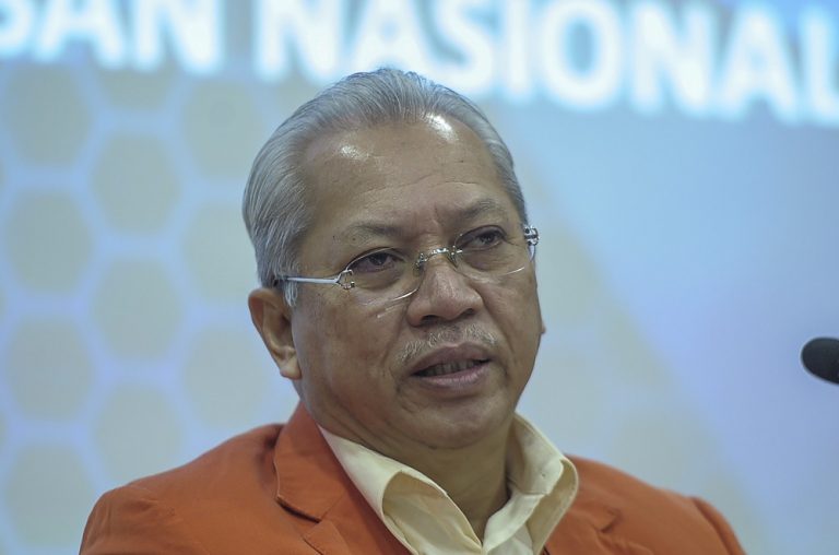 Annuar Musa tells Umno leaders to lodge police report to deny support for Anwar
