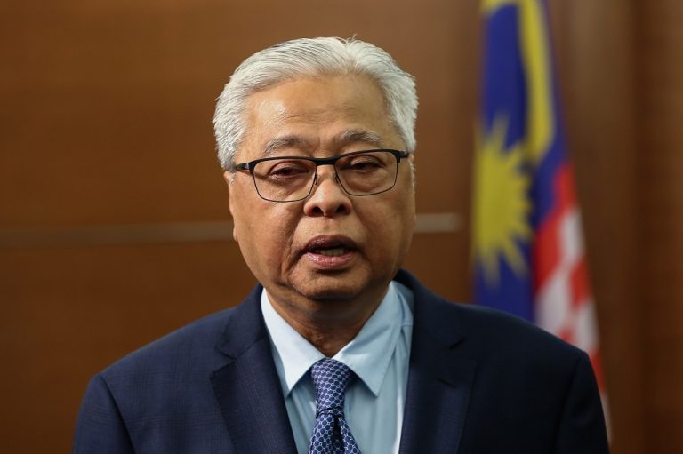 Voting in Parliament a constitutional right, Ismail Sabri says to defend allowing presence of MPs in PPE