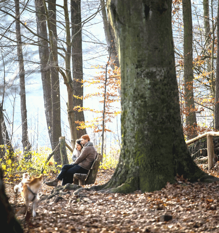 Europe hit by the hottest November on record