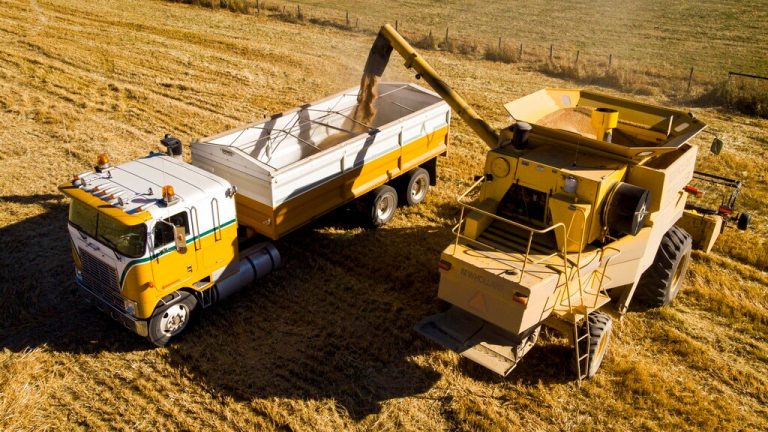Australian wheat exporters pull back from selling to China