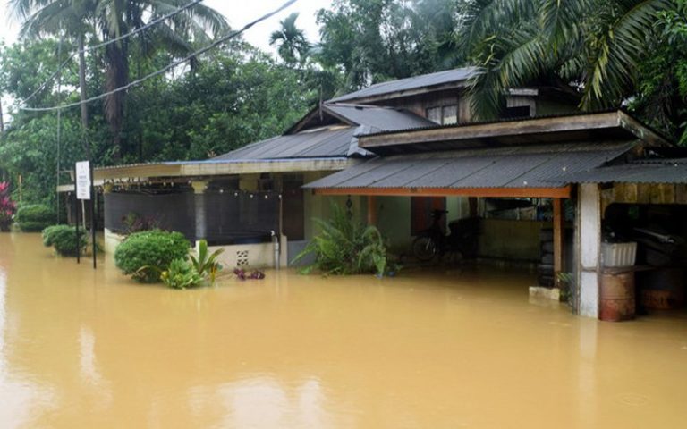 Senior citizen evacuates home with 5 disabled children, 23 cats
