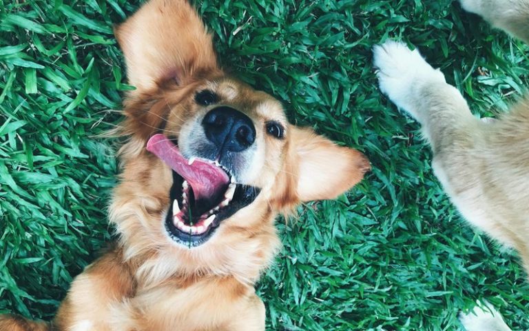 Phoebe is a ‘friend’ who will be there for you