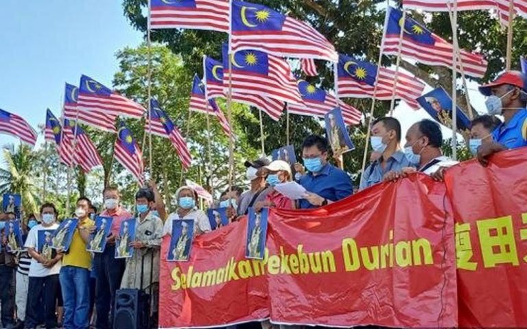 Mahkamah tolak permohonan semakan kehakiman pekebun durian Raub kosongkan tapak