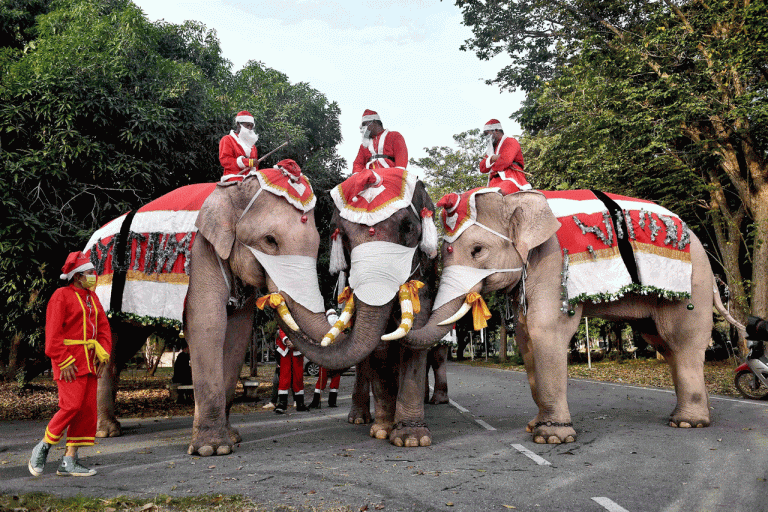 Elephant Santas spread virus awareness among Thai children