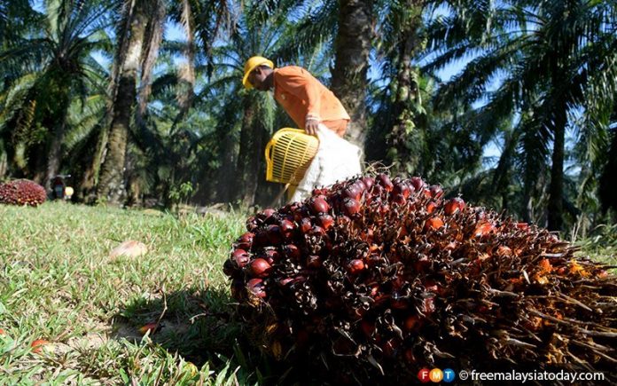 Asia Tenggara perlu dorong agenda ke arah penyelesaian minyak sawit global