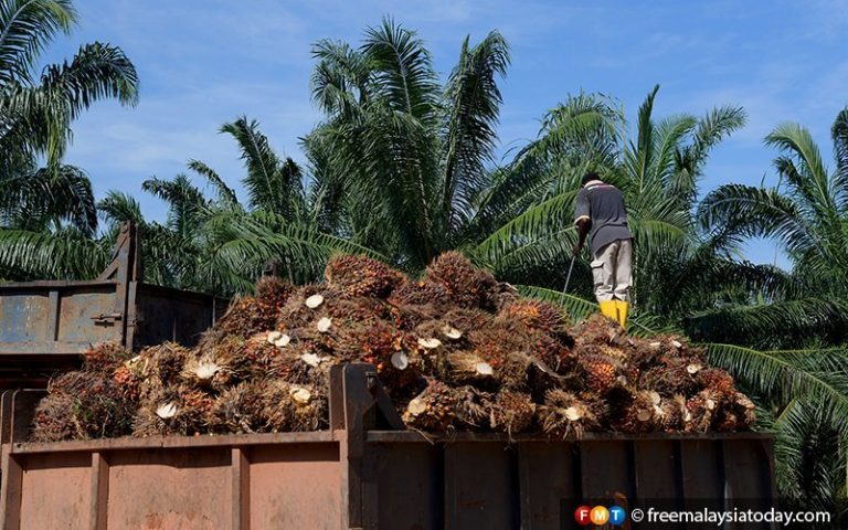 Politics, not science, key to easing EU palm oil restrictions, says expert