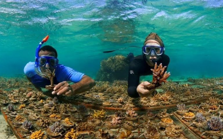 Fiji’s pandemic-hit paradise suffers from climate change