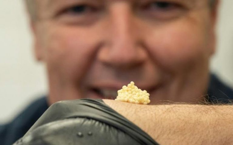 Austria offers a sustainable alternative to caviar
