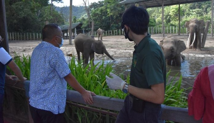 Lok Kawi Wildlife Park requires speedy repairs