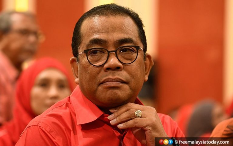 Dominant Malay party crucial for political stability, says Umno veep