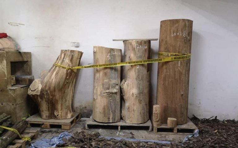 Polis rampas pokok kayu karas curi RM2 juta