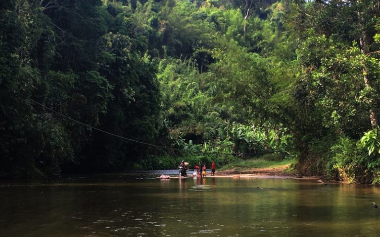 New law to fight biopiracy comes into force
