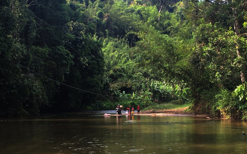 New law to fight biopiracy comes into force