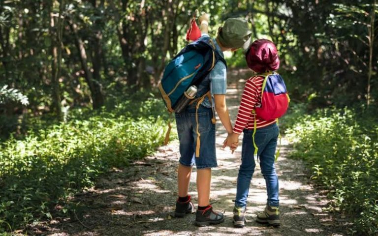 Outdoor classes may be the schools of the future