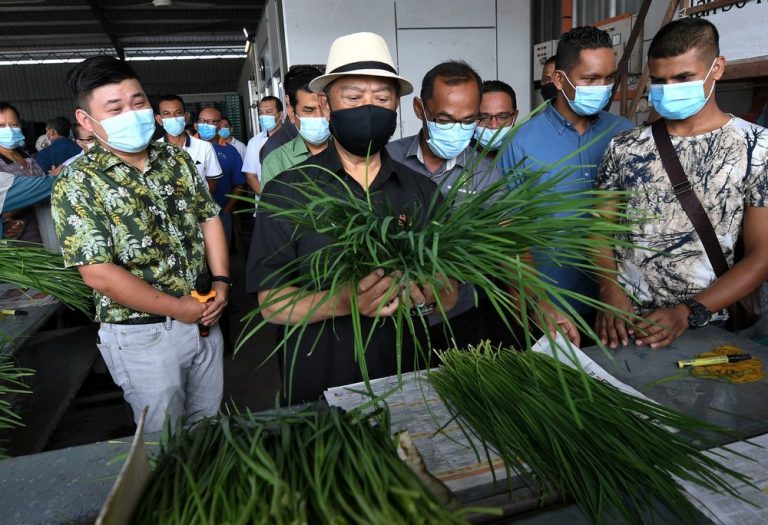 PM Muhyiddin suggests setting up of agro-tourism one stop centre in Sengkang