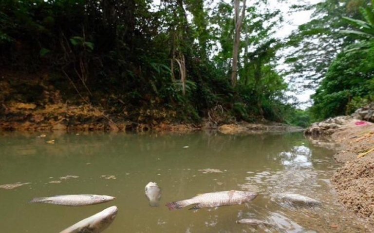 Courts to take tough stand against environmental crime, says top judge