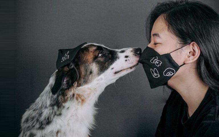 QQ’s not purebred, but she’s pure love