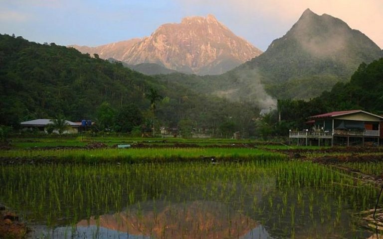 Better be Kedah rather than an illusory Wakedah