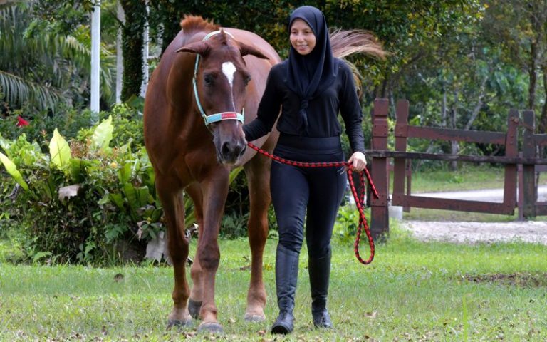 Mom takes up endurance riding after equine therapy helps son
