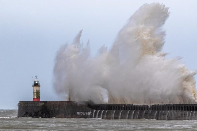 Thousands without power, planes delayed as Storm Bella lashes France