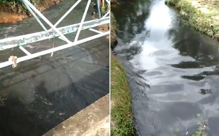 Sisa kumbahan babi cemar sungai di Tamparuli, JAS buat tindakan susulan