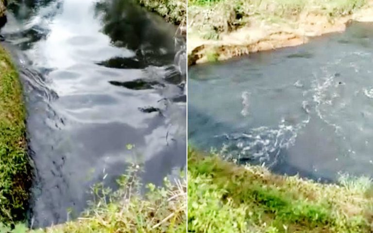 Sisa kumbahan babi ‘hantui’ penduduk Tamparuli