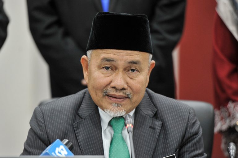 Minister: Environment Ministry will study REE exploration report thoroughly