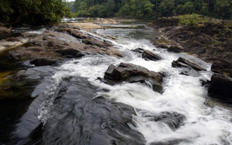 Taman Negara Johor Endau Rompin dicalon sebagai ASEAN Heritage Park