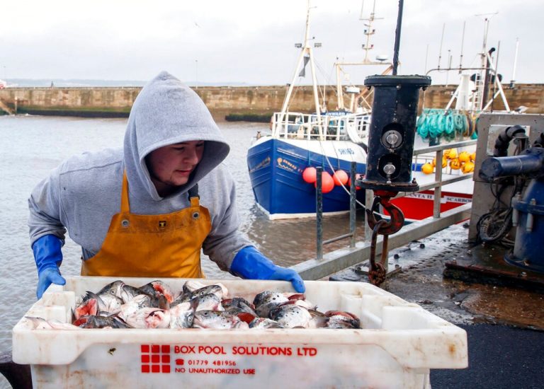 Norway warns of EU, UK fishermen shutout if no Brexit deal