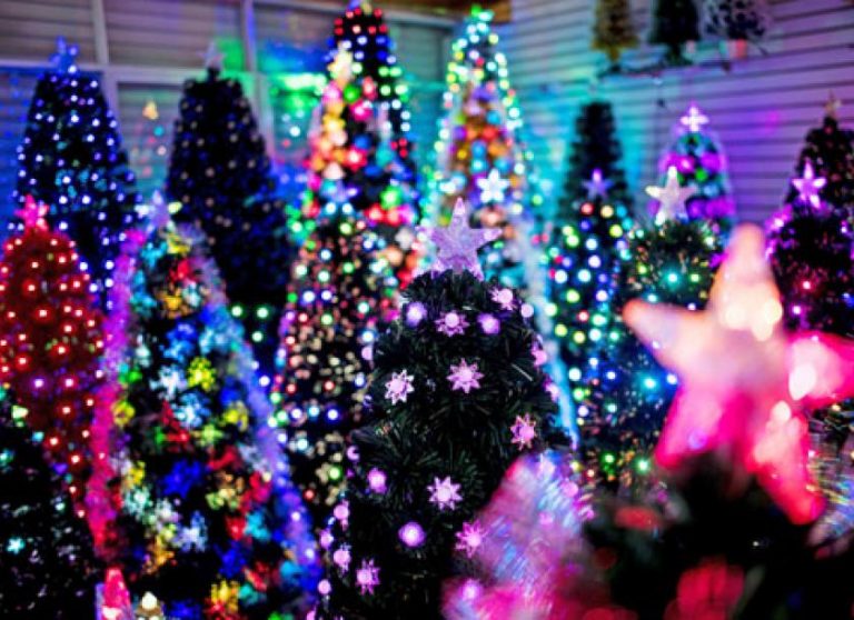 SDMC: Christmas celebrations only allowed on first day, gatherings limited to 20 close family members