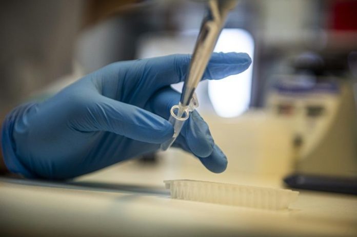 Frontrunners in race for Covid-19 vaccine