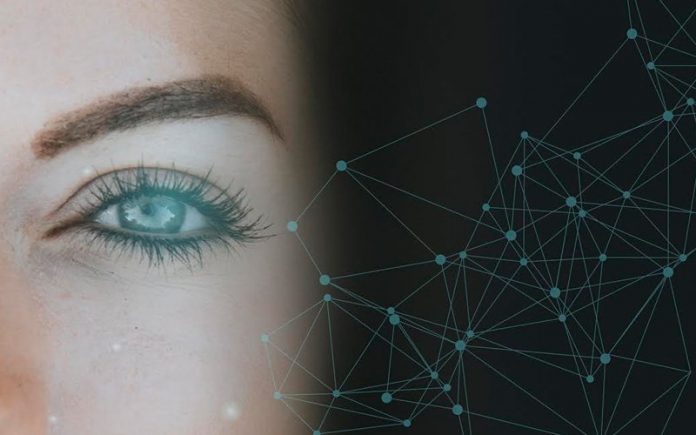 Breakthrough anti-ageing treatment restores sight in mice