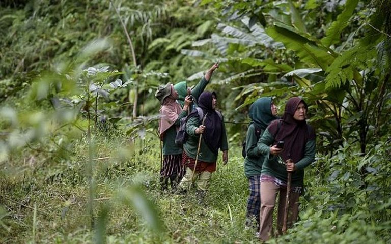 Girl power: Indonesia’s female forest guardians keep fight alive
