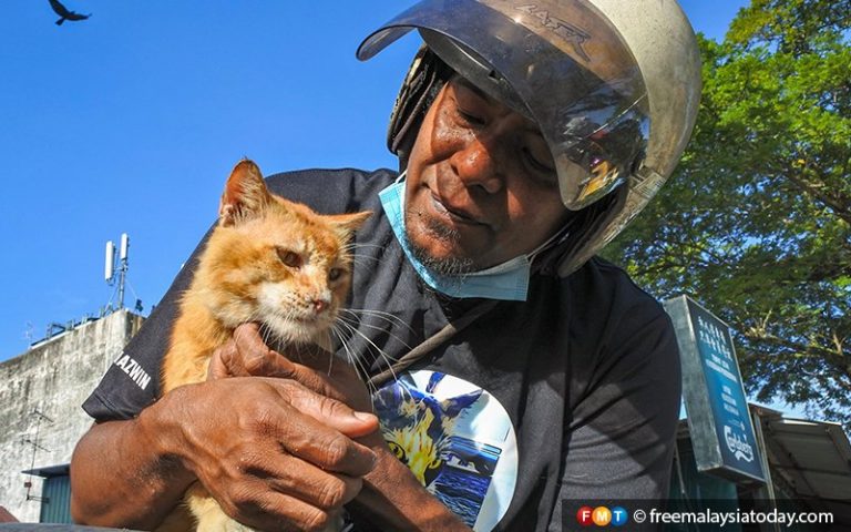 Bee Nazwin, Seberang Perai’s saviour of the strays