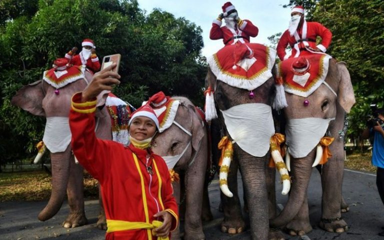 Elephants dress as Santa with coronavirus masks in Thailand