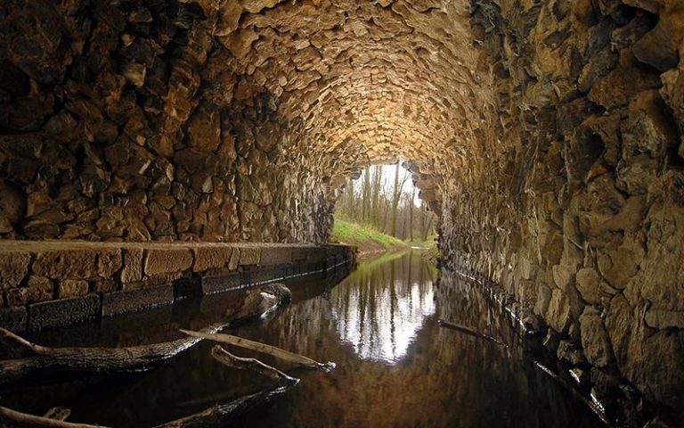 Sewage sludge could be used to make biodegradable plastics