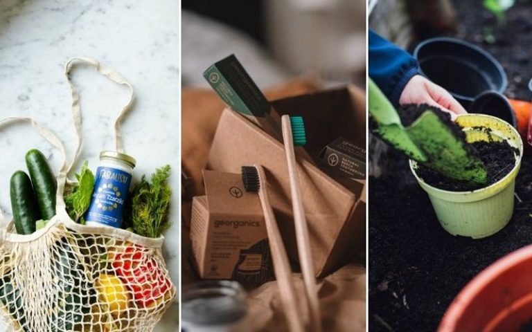 6 ways to start living more sustainably