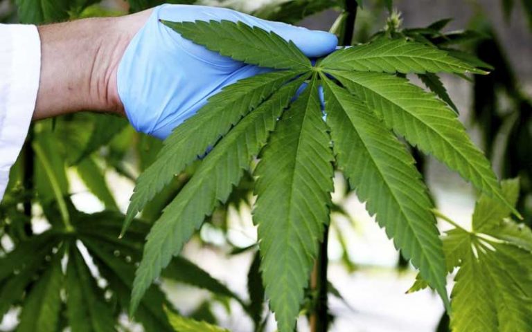 Tel Aviv Stock Exchange launches cannabis index