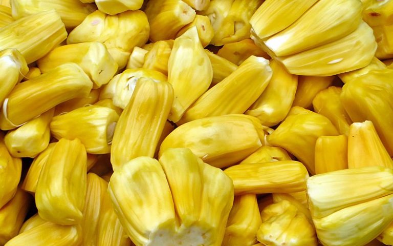 Rupanya nangka ‘kaya’ nutrisi & khasiat