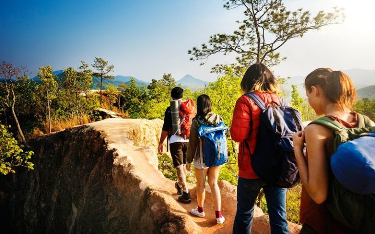People are turning to nature during pandemic, says study
