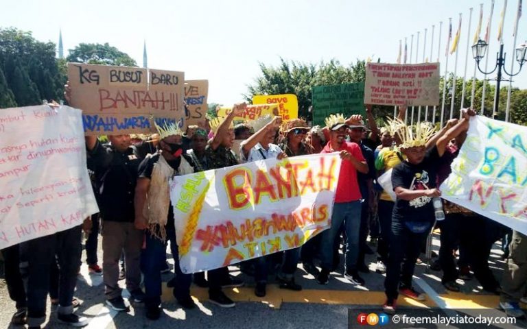 Orang Asli need veto power on land use, govt told